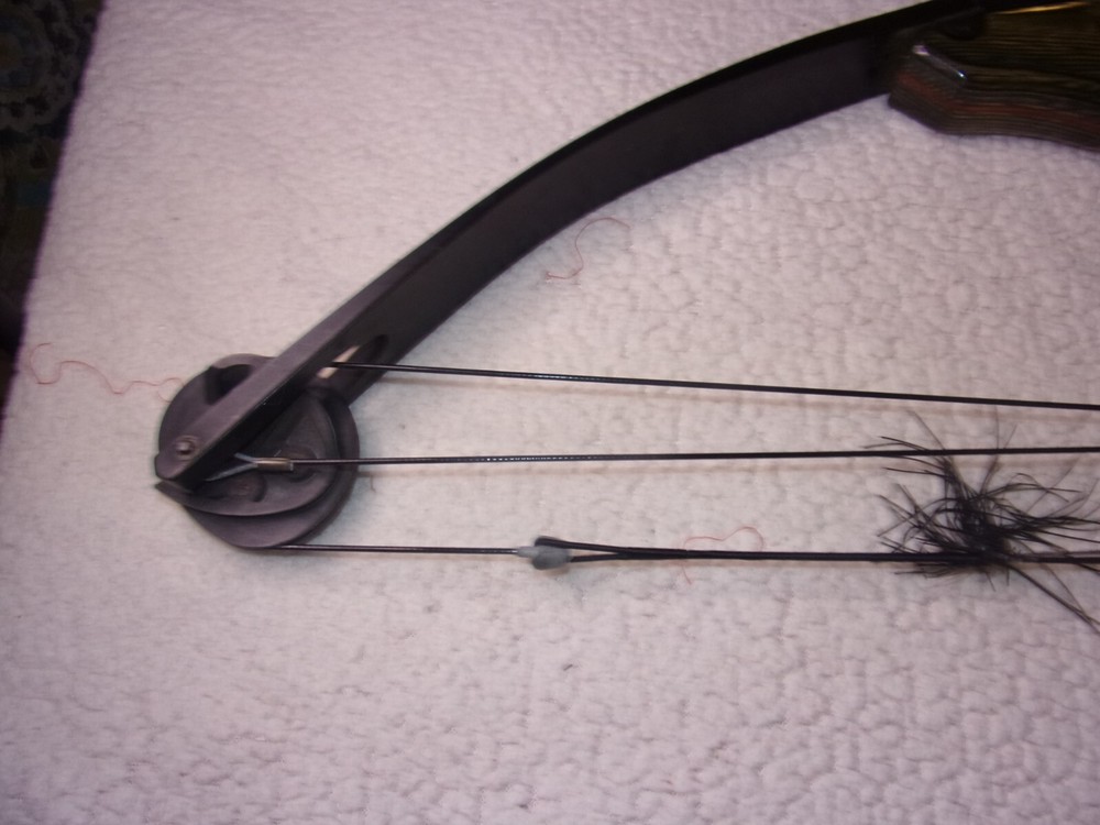Darton 300WX Compound Bow