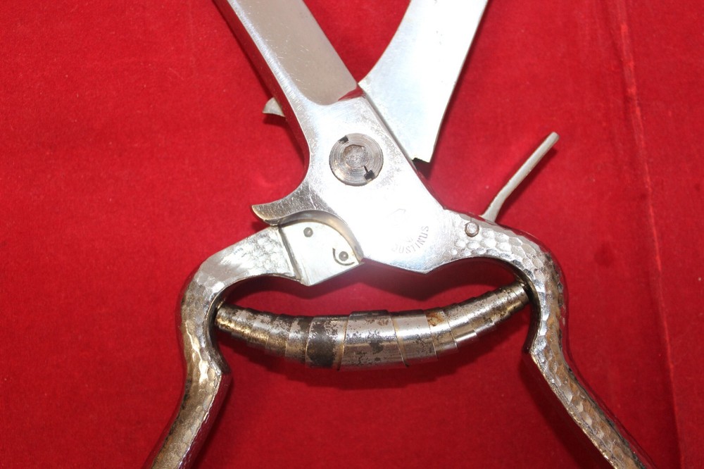 RARE VTG Justinus Soligen Germany Eagle Kitchen Shears 4" Blade