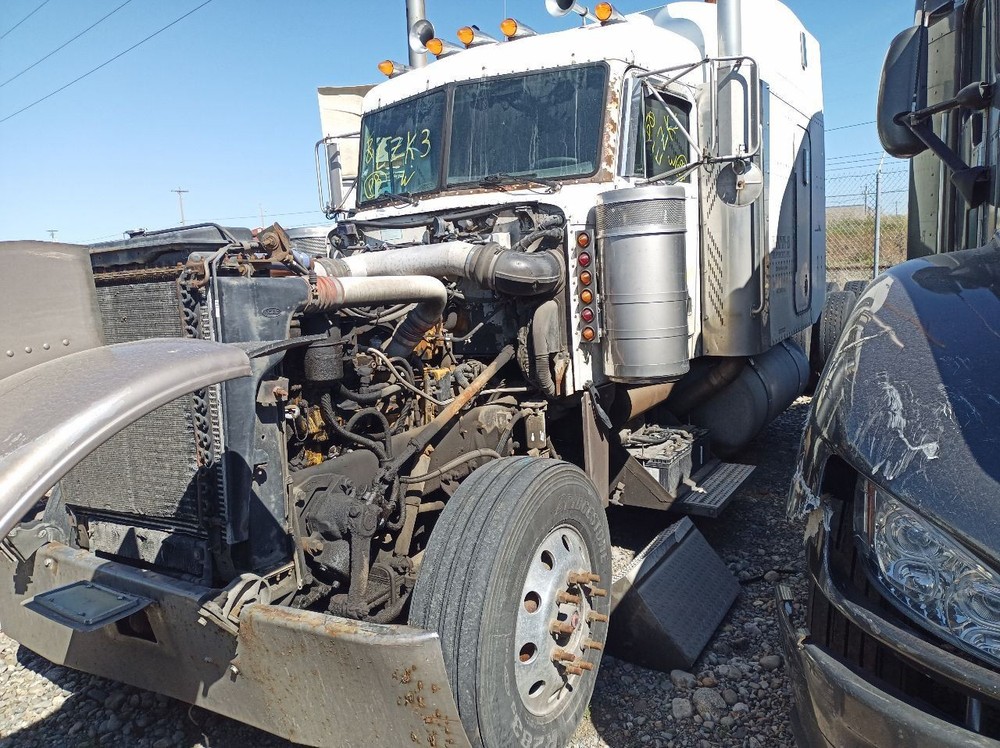 2000 Peterbilt 379 Left Rear Sleeper Door With Vent (11974453