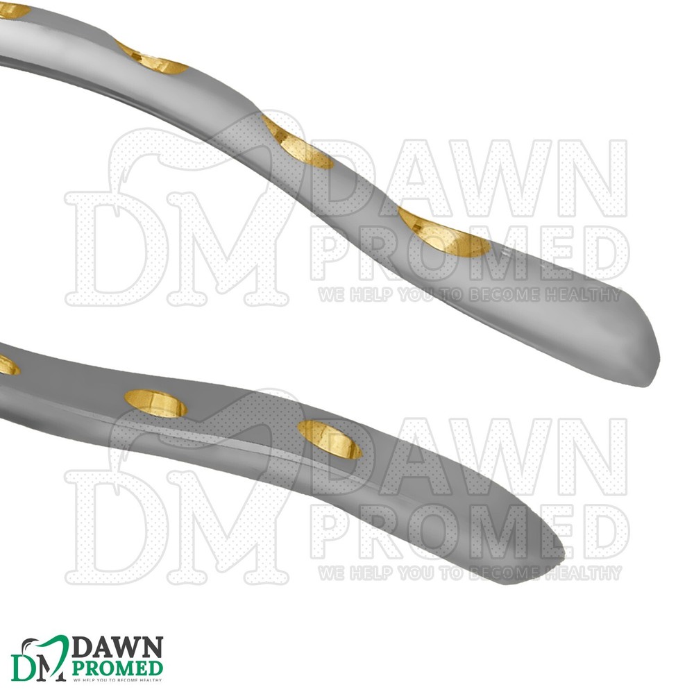 Dental Extracting Forceps #53L Gold Hollow Python Grip Handle German Grade