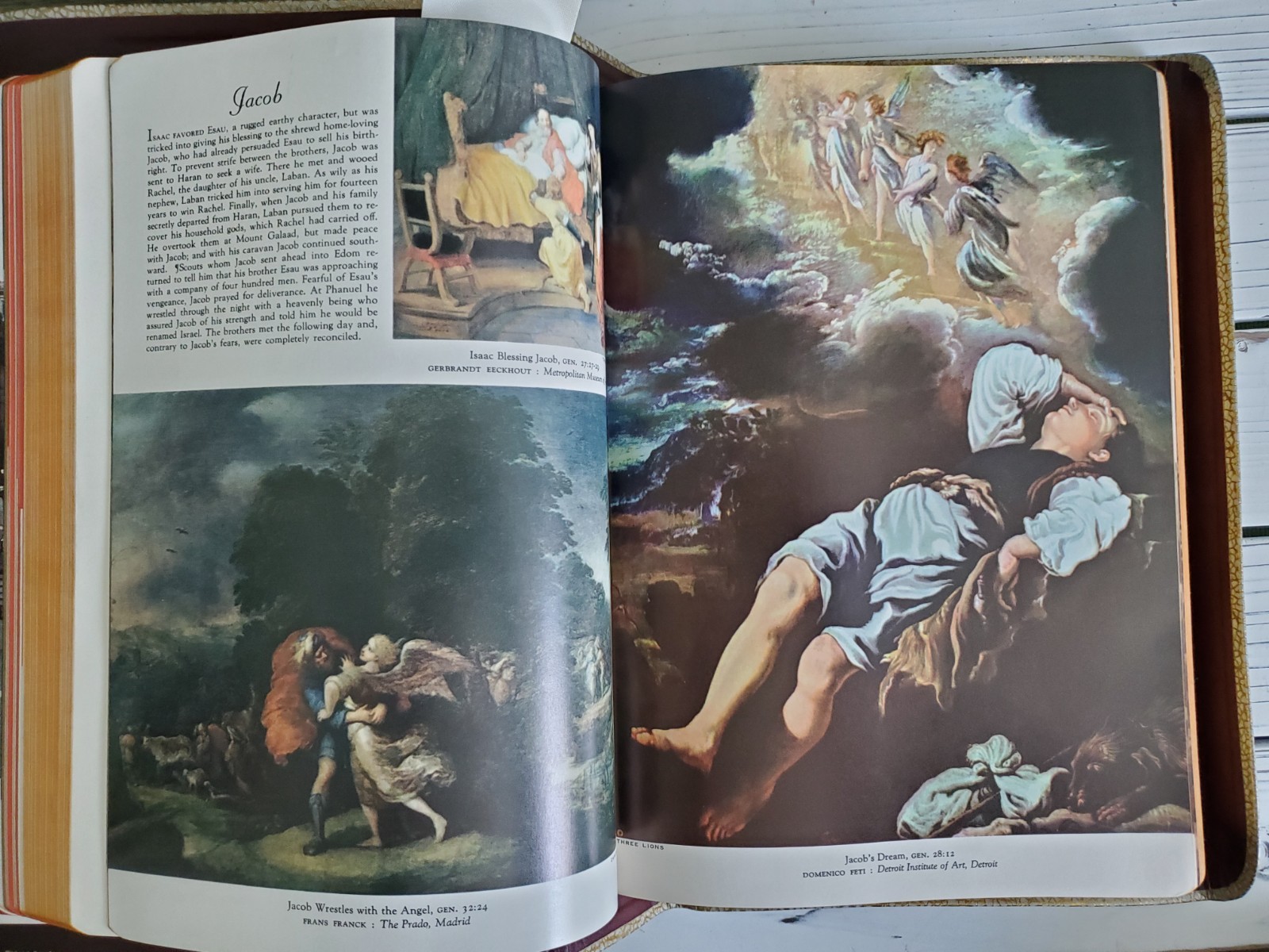 VTG Holy Bible Douay-Challoner & Confraternity Text 1951 White Illustrat Book