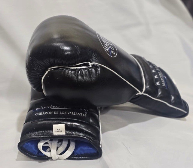Maestro Boxeo
