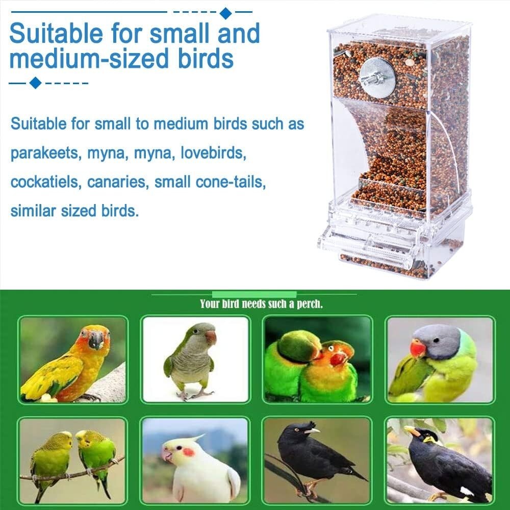 Transparent Automatic Bird Seed Feeders for Parrots - 2 Pack with Perches