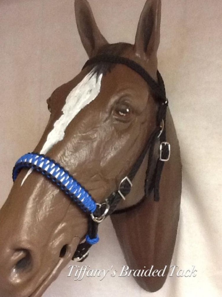 side pull hackamore attachment with a whoa neon purple