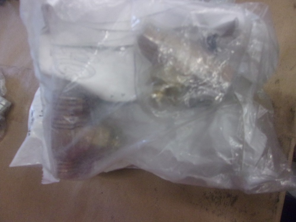 POWERS 141-176 Checkstop Valve,Powers,Bronze,PK2