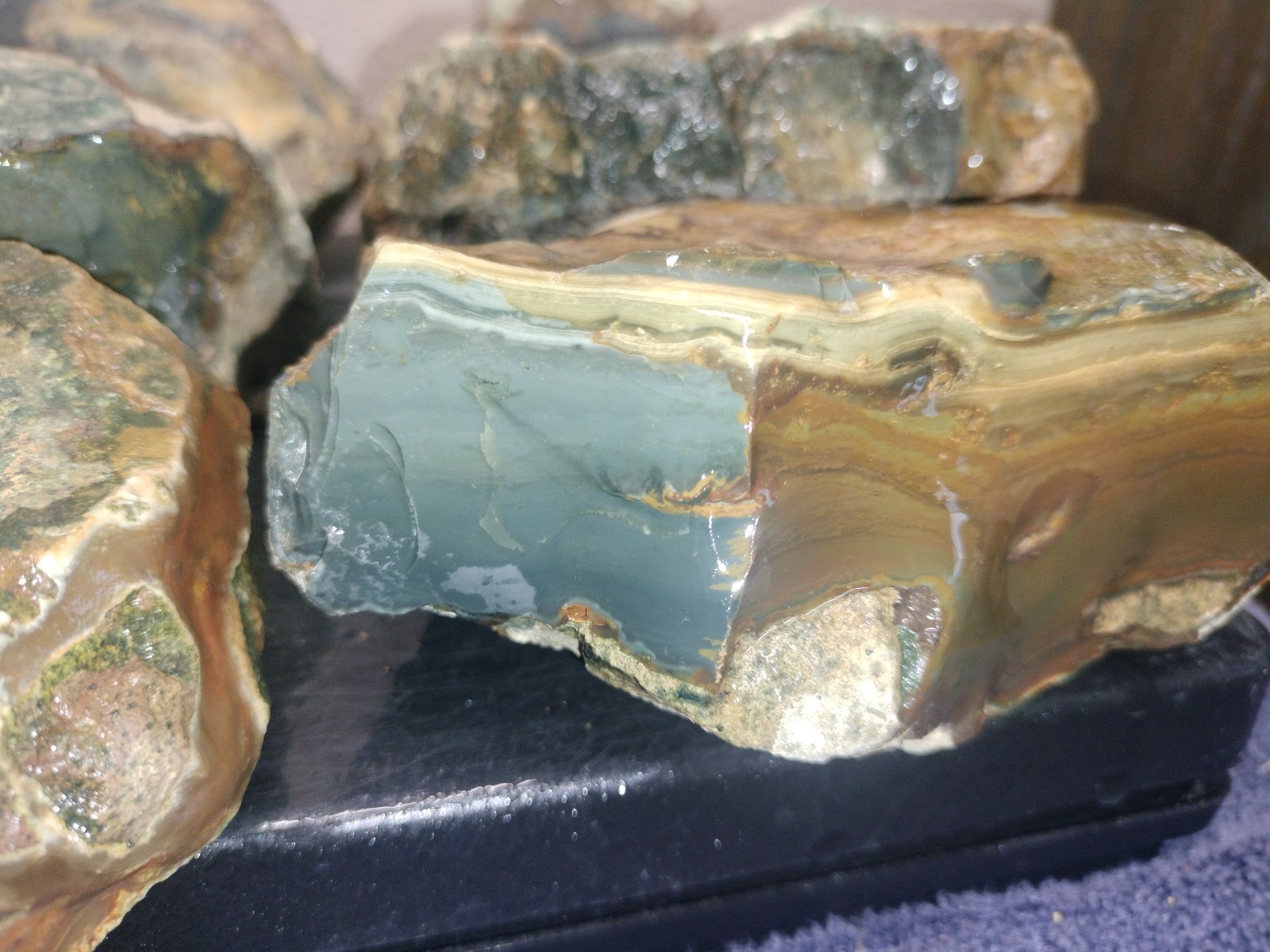 8.7LB ORBS Blue Mountain Picture Jasper Rough 6pc Lot #27