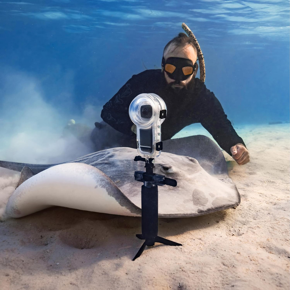 Dive Buddy