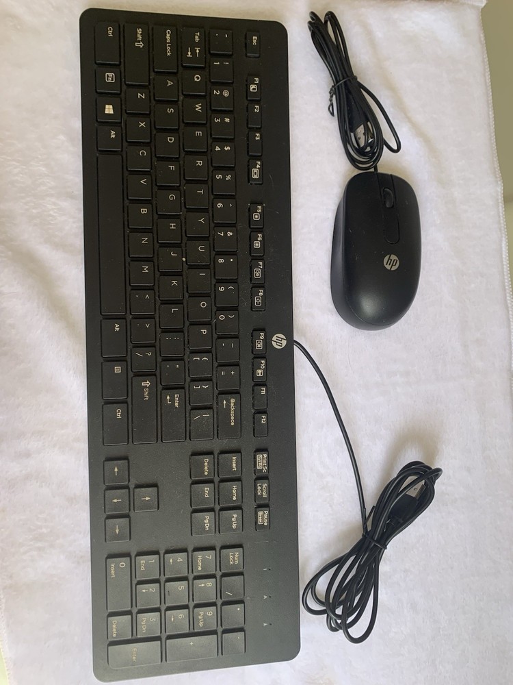 Standard HP Keyboard And Mouse