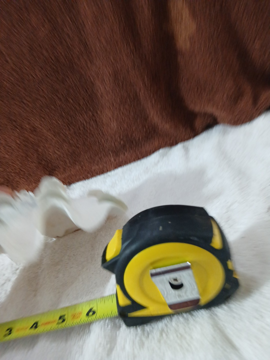 LARGE NATURAL REAL HALF CLAM SHELL