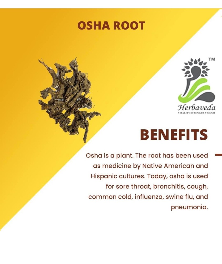 Osha root 400g | Promotes digestion