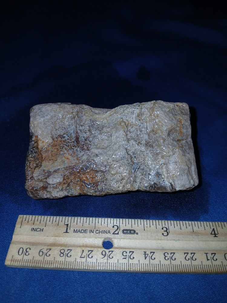 9 oz Agatized Texas Petrified Wood