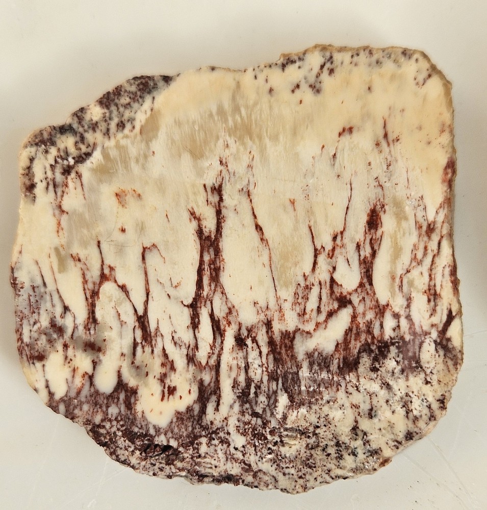 Alunite Lapidary Slabs 85 Grams