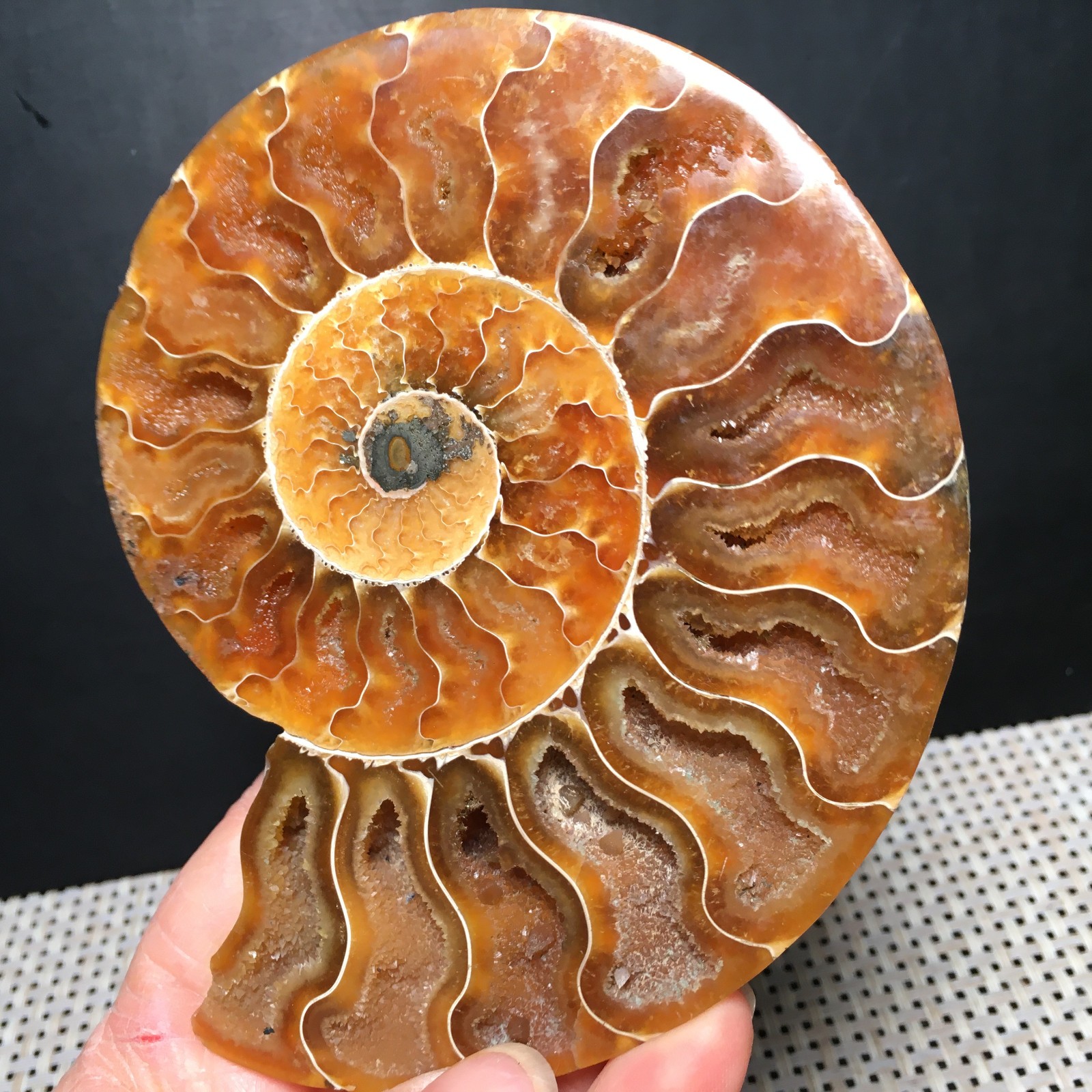 184g 1pc Split Carving Home Decoration Specimen Shell Healing md3746