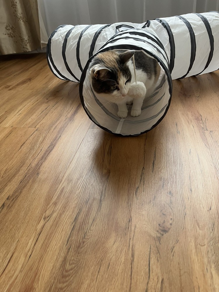 Interactive Cat 3-Way Tunnel With Ball Toy