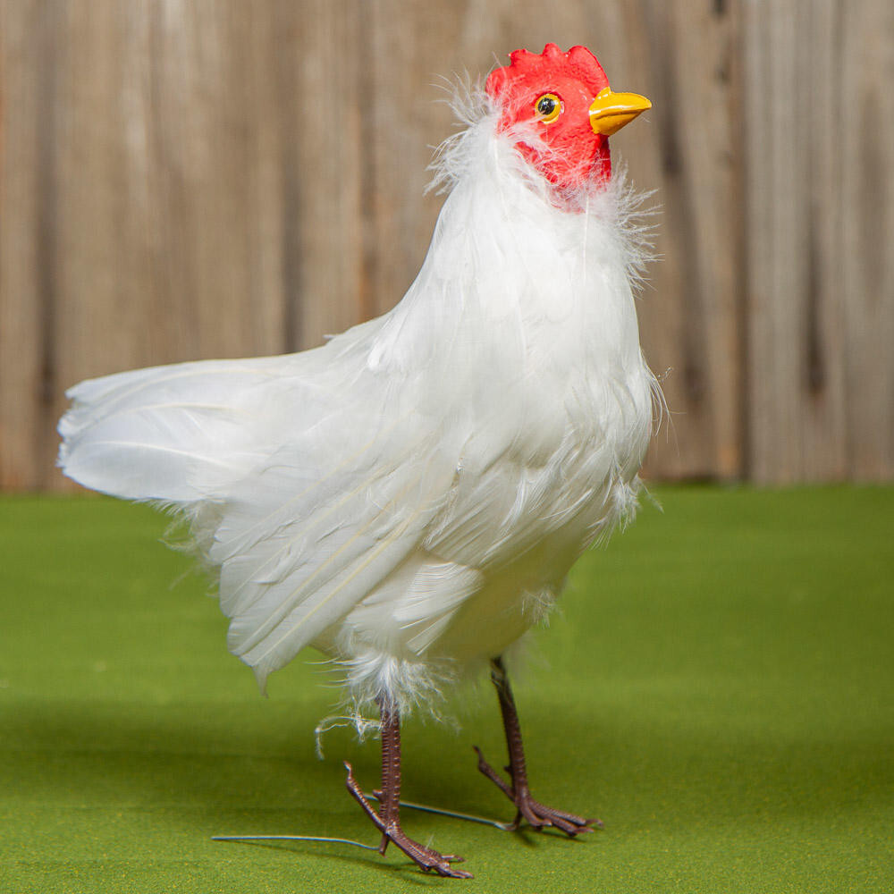 10" Artificial White Feathered Decorative Hen Chicken