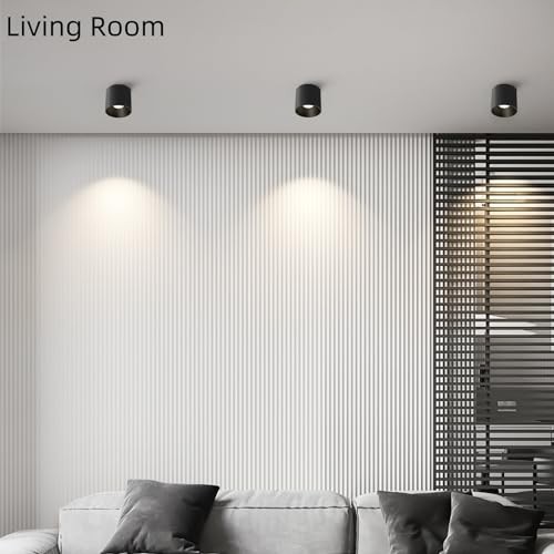 Modern Ceiling Spot Light Fixture, Dimmable Flush Mount Light 4.72'' Black