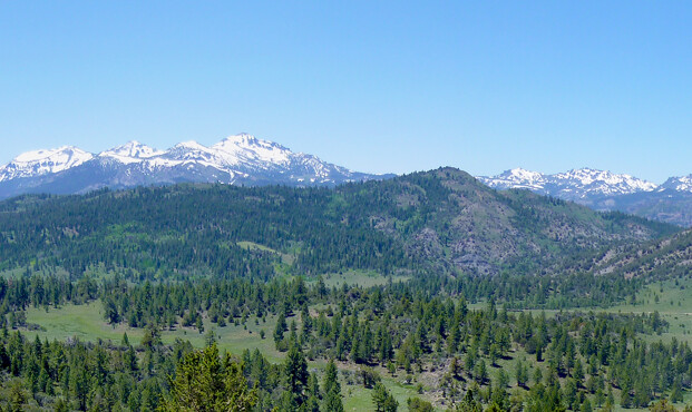TrainJunkies Sierra Range Model Railroad Backdrop