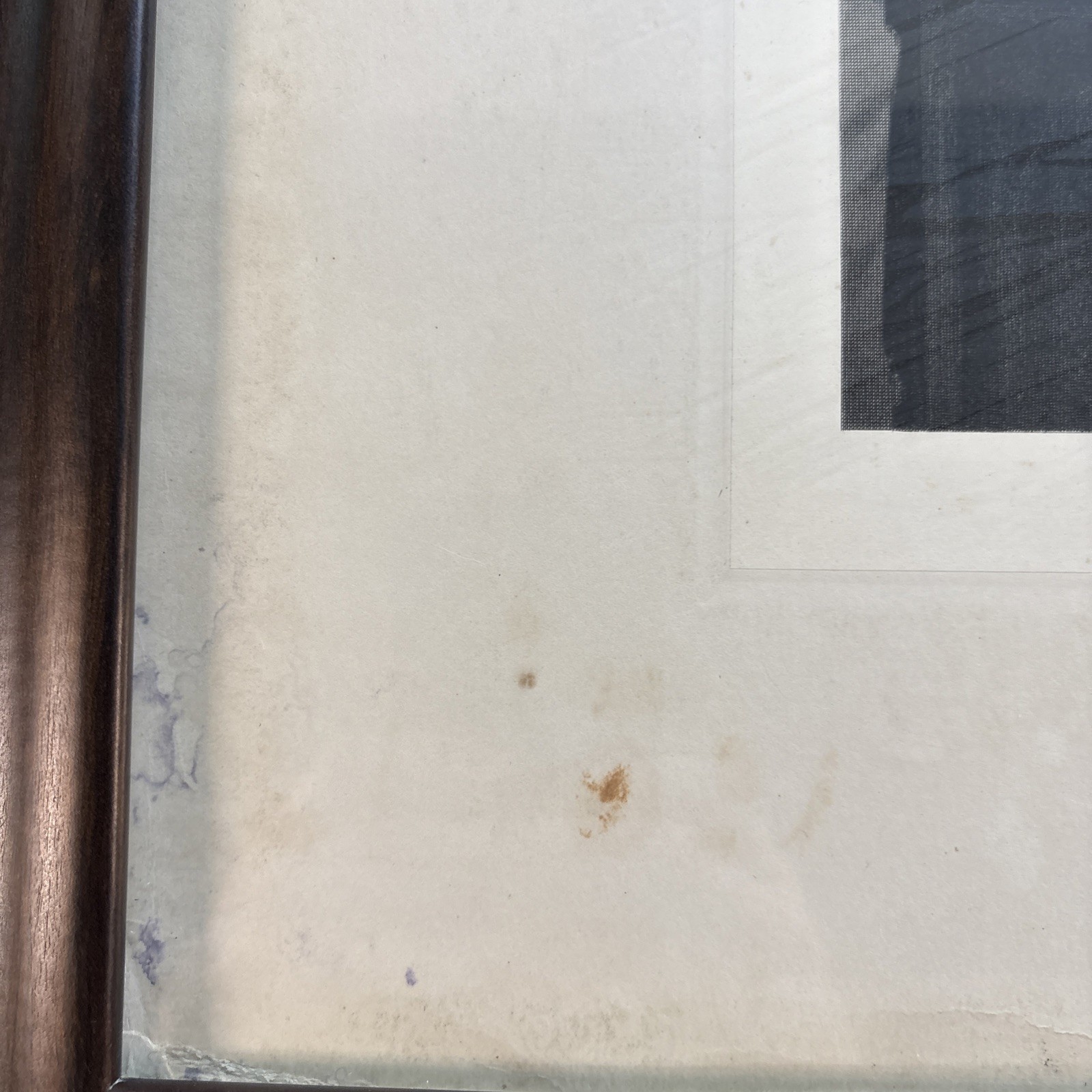 1903 Theodore Roosevelt Photogravure Portrait Gravure Co. of America Framed