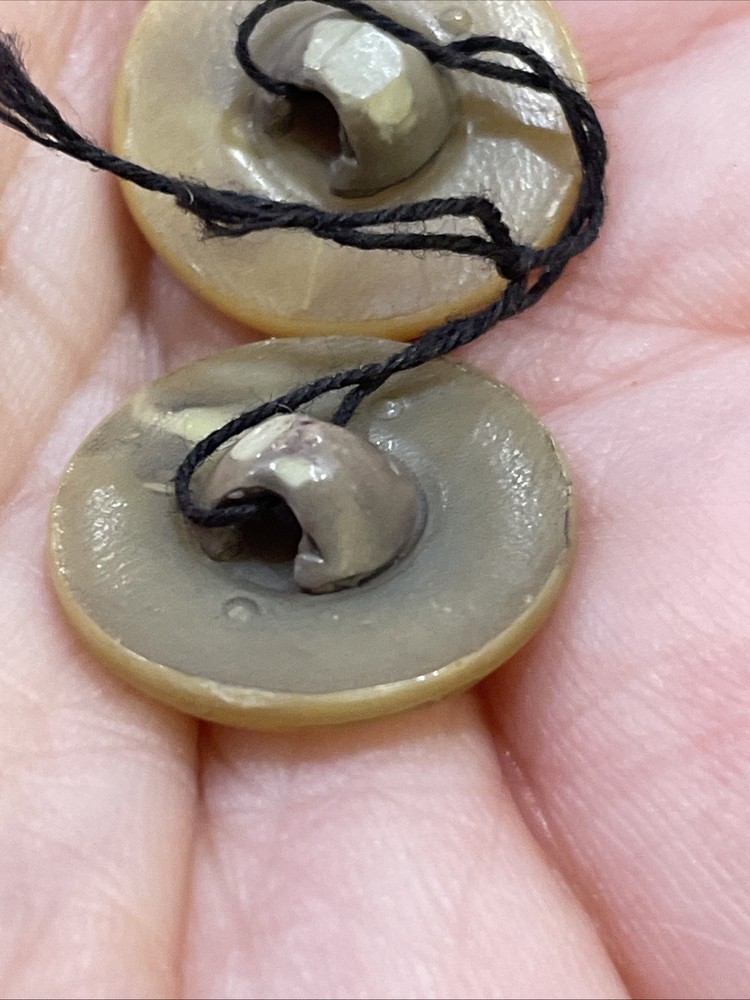 2 Vintage Celluloid Plastic Leaf Buttons 3/4”