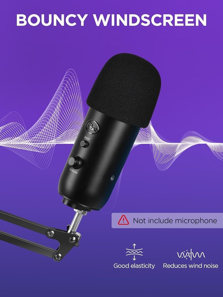 Heavy Duty Mic Stand & Pop Filter