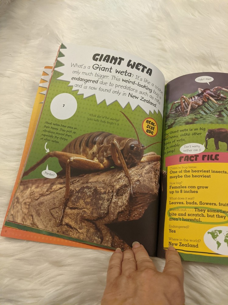 Insect Bug Books With Plastic Bugs