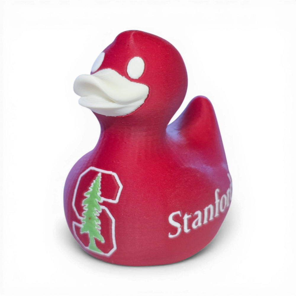 Stanford Duck