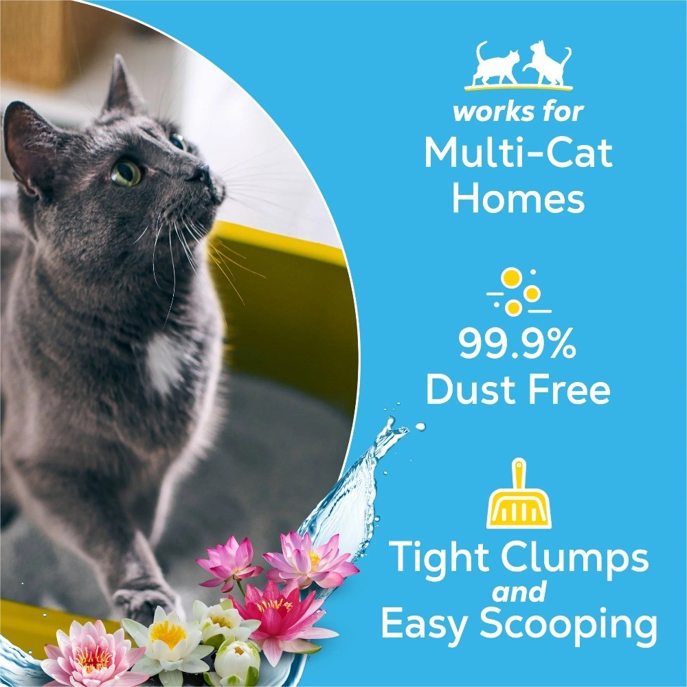 Clumping Multi-Cat Litter with Odor Control and Clear Springs Scent