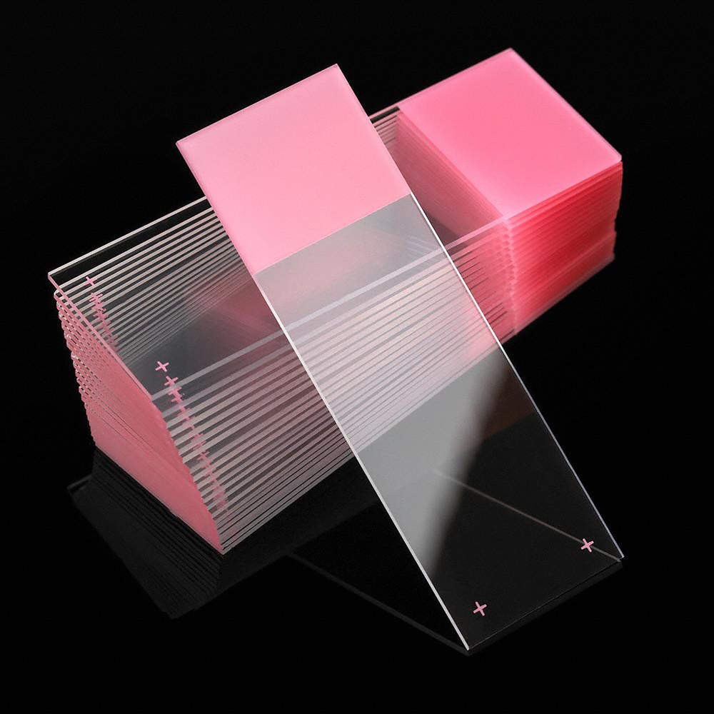 GLOBE SCIENTIFIC  Microscope Slide,Pink,PK72 46AW85
