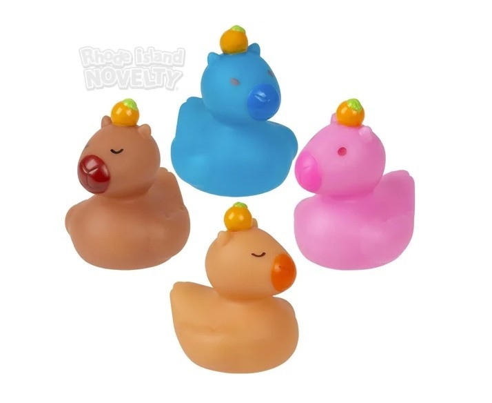 2" Capybara Rubber Ducks - 12 Piece Assortment