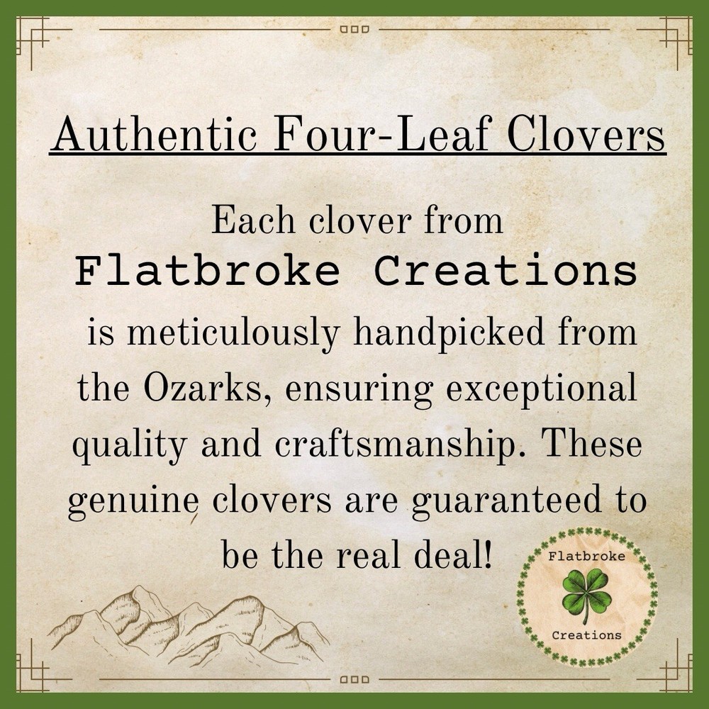 🍀Real Laminated Four Leaf Clover🍀 Shamrock
