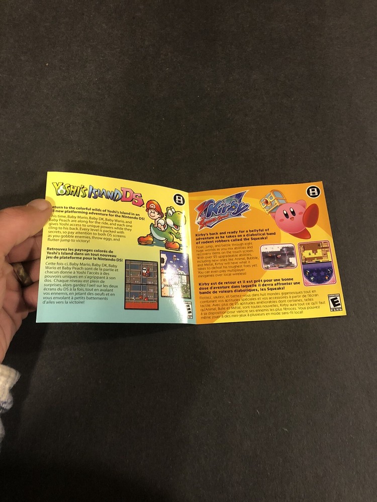 diddy kong racing ds Insert