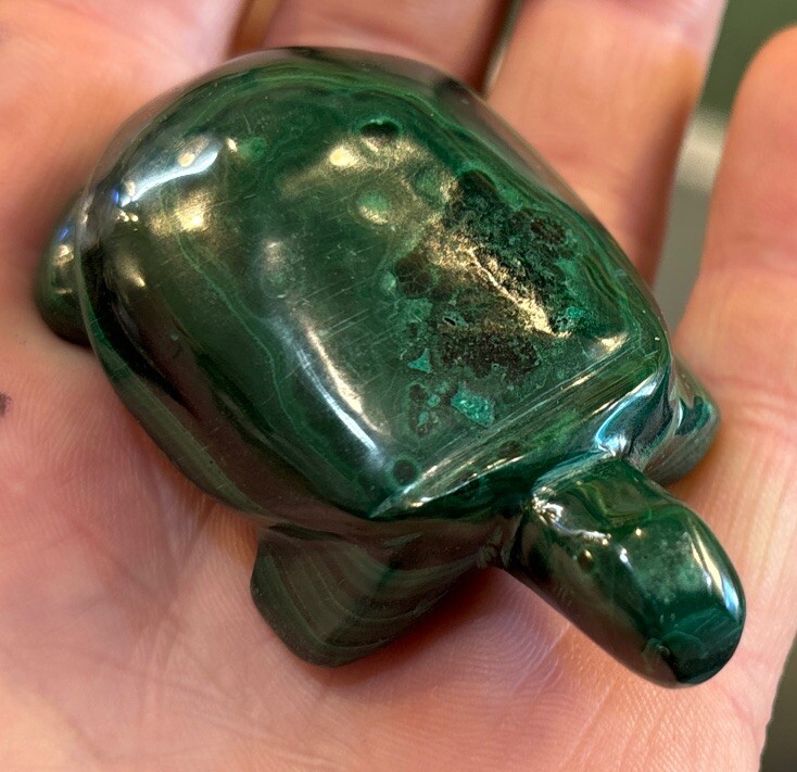 2” Malachite Turtle