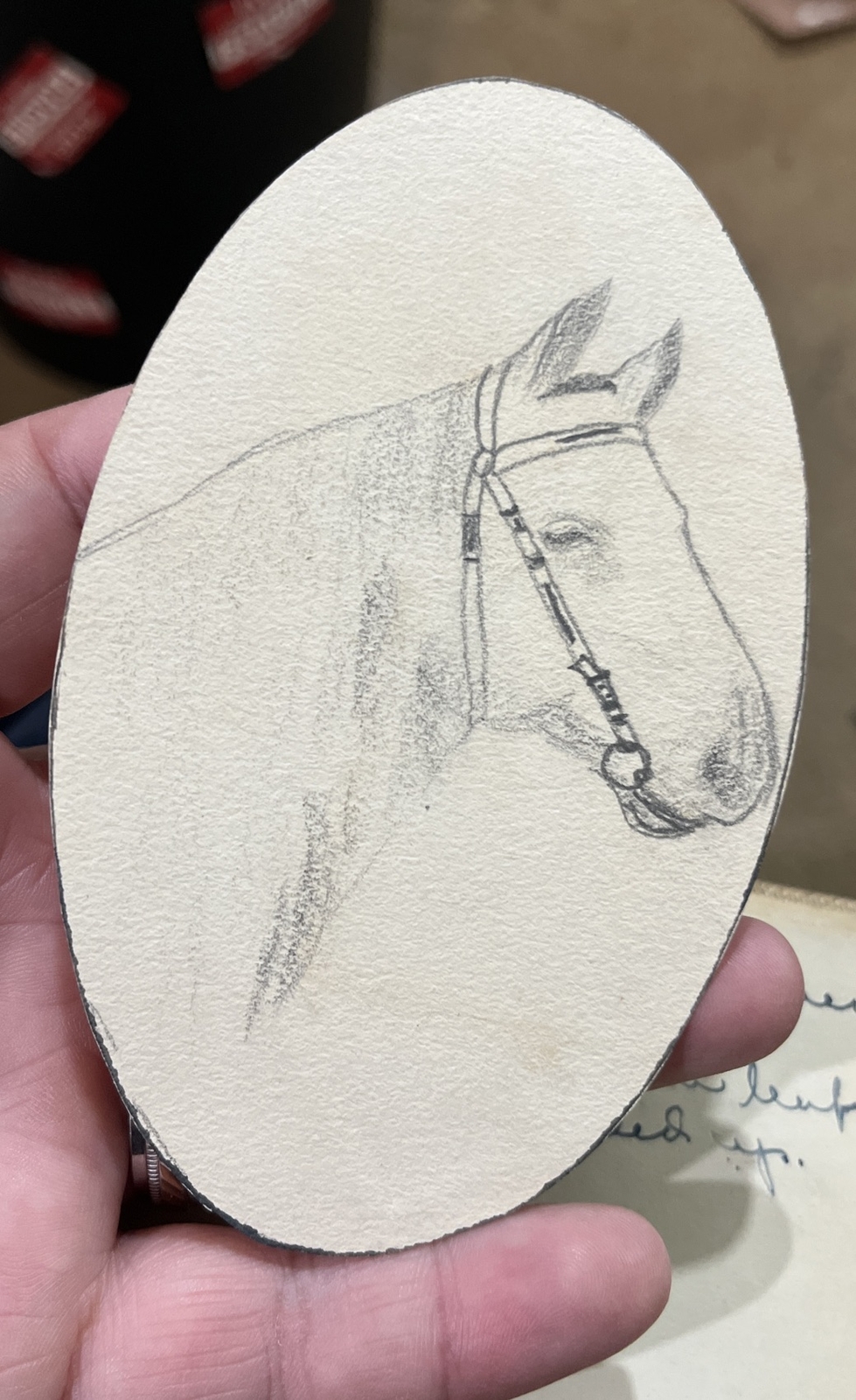 Antique Diary SCRAPBOOK & HAND WRITTEN JOURNAL+ More 1916