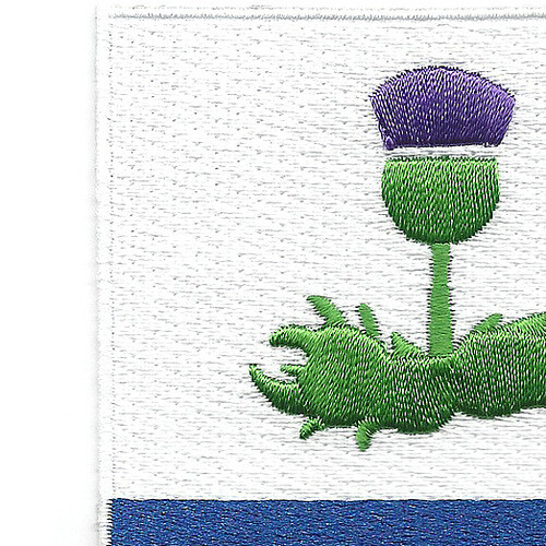 338th Infantry Regiment Patch