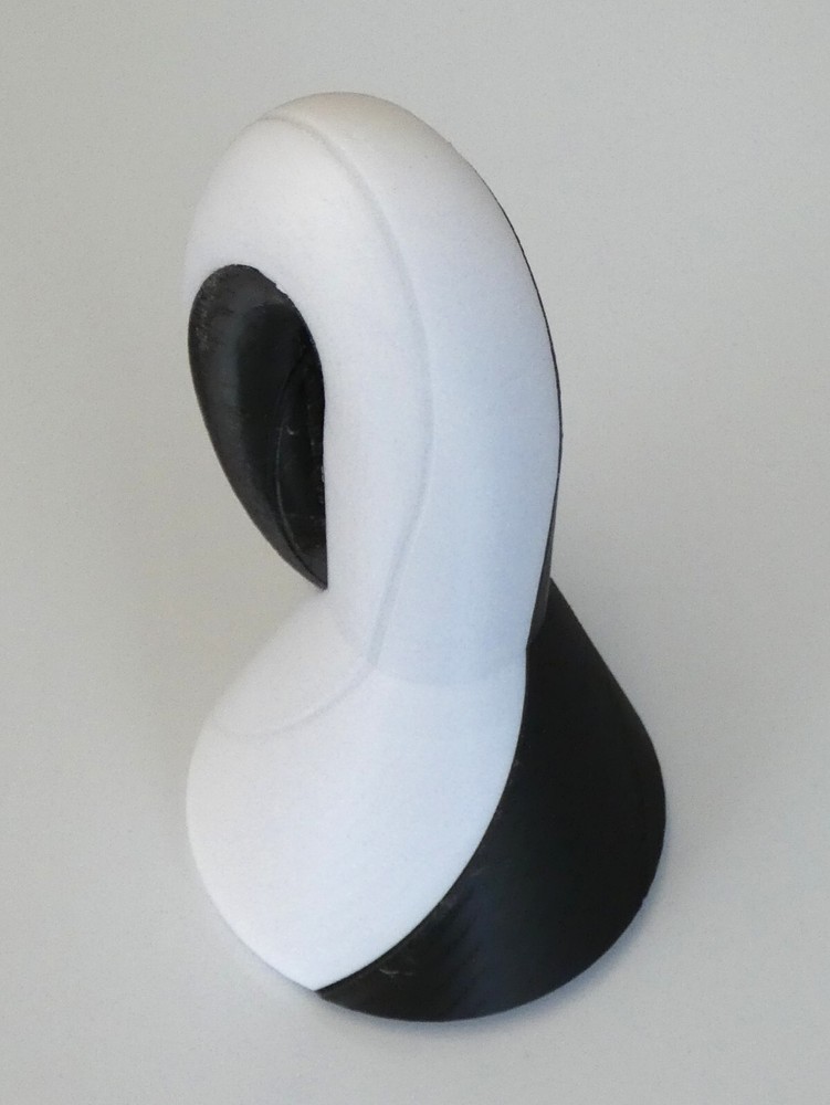 Klein Bottle Mobius Strip Two Bands 3D Model Science Math Sculpture Gift
