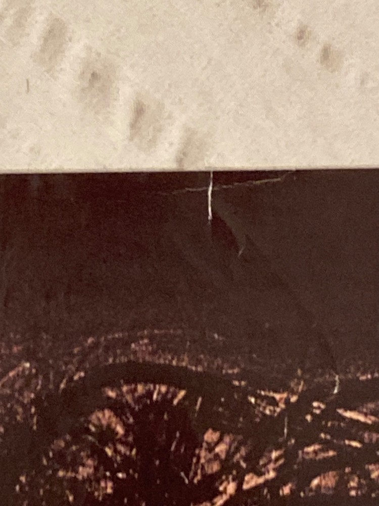 Nona Hendryx 1984 Promo Poster The Art Of Defense RCA Records U