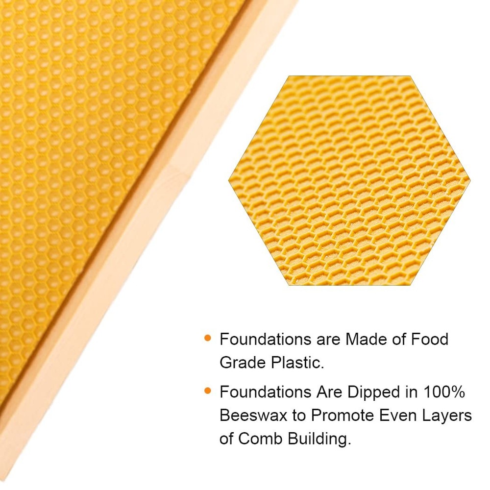 MayBee Deep Brood Beehive Frames with Wax Foundation,10 Pack Honey Bee Frames...