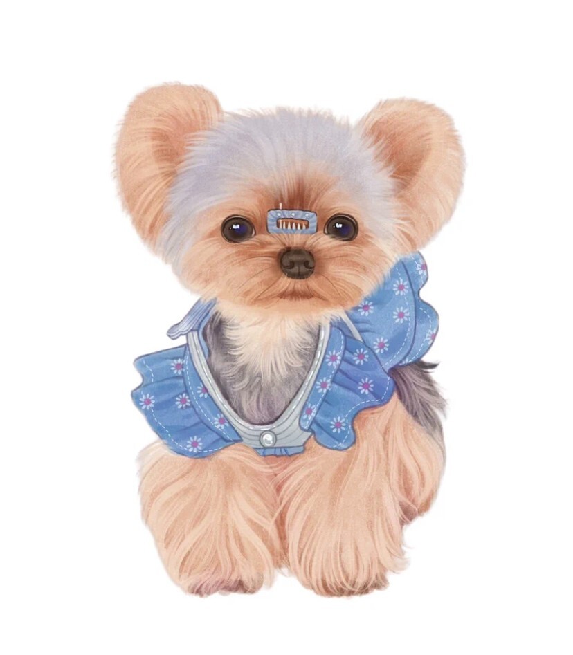 Creating customized pet pictures/logo