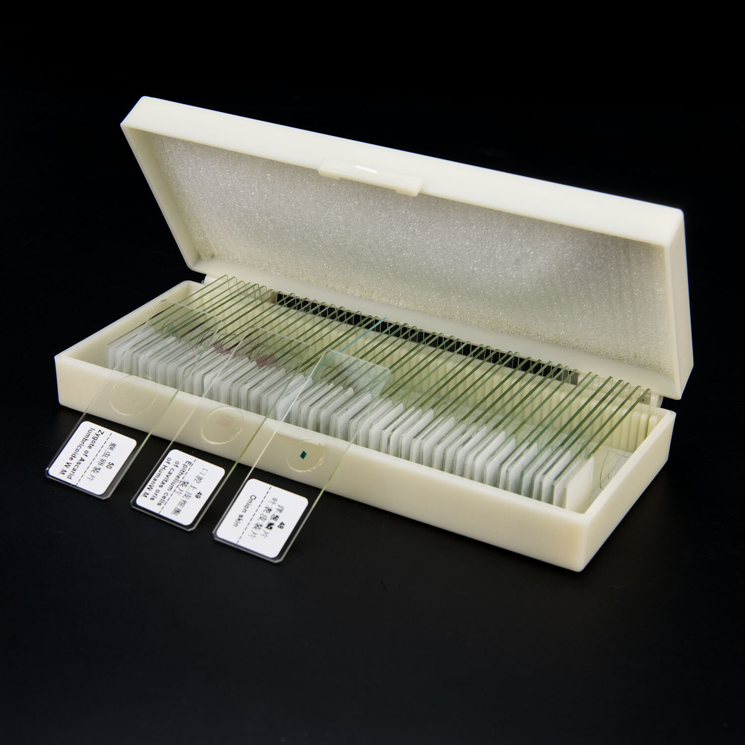 50pcs Glass Prepared Microscope Slides Biological Microscope Specimen Set