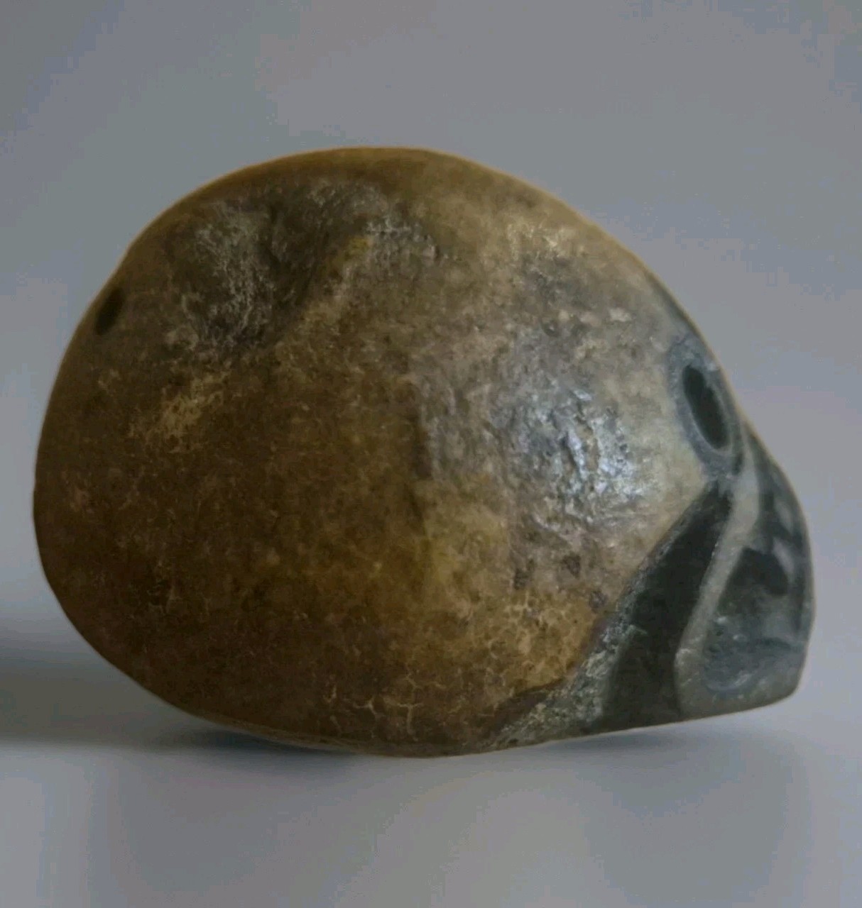 Rare Large Tibetan Kapala Citipati Bead - Relic