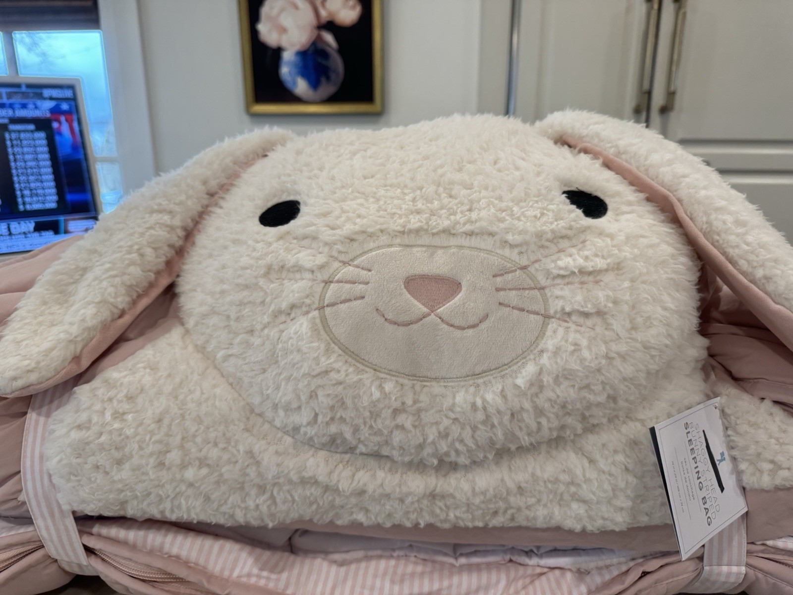 Pottery Barn Kids Striped Shaggy Head Critter Sleeping Bag Bunny Pink Mono JETT