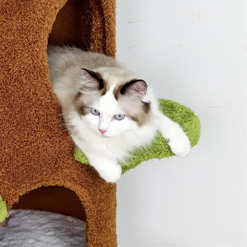 Multi-Level Indoor Cat Climbing Tree Flower Perch Plush Cave Cat Activity Tree