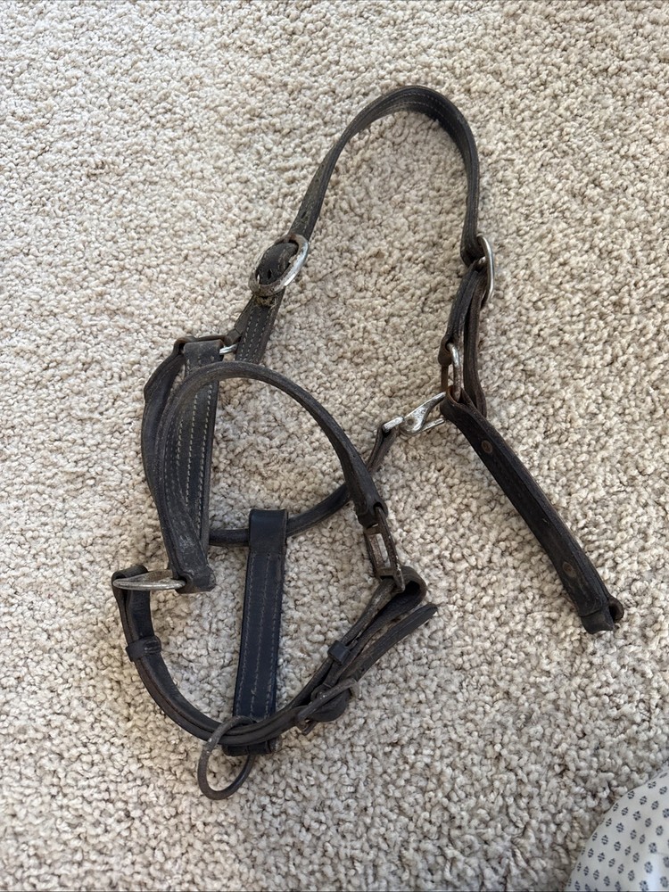 BROKEN Leathed Horse Size Halter - Use For Hardware