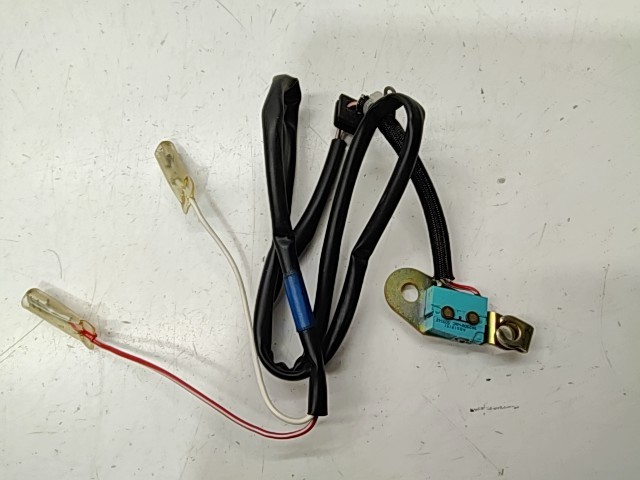 ETC SWITCH - 2000 Polaris NOS