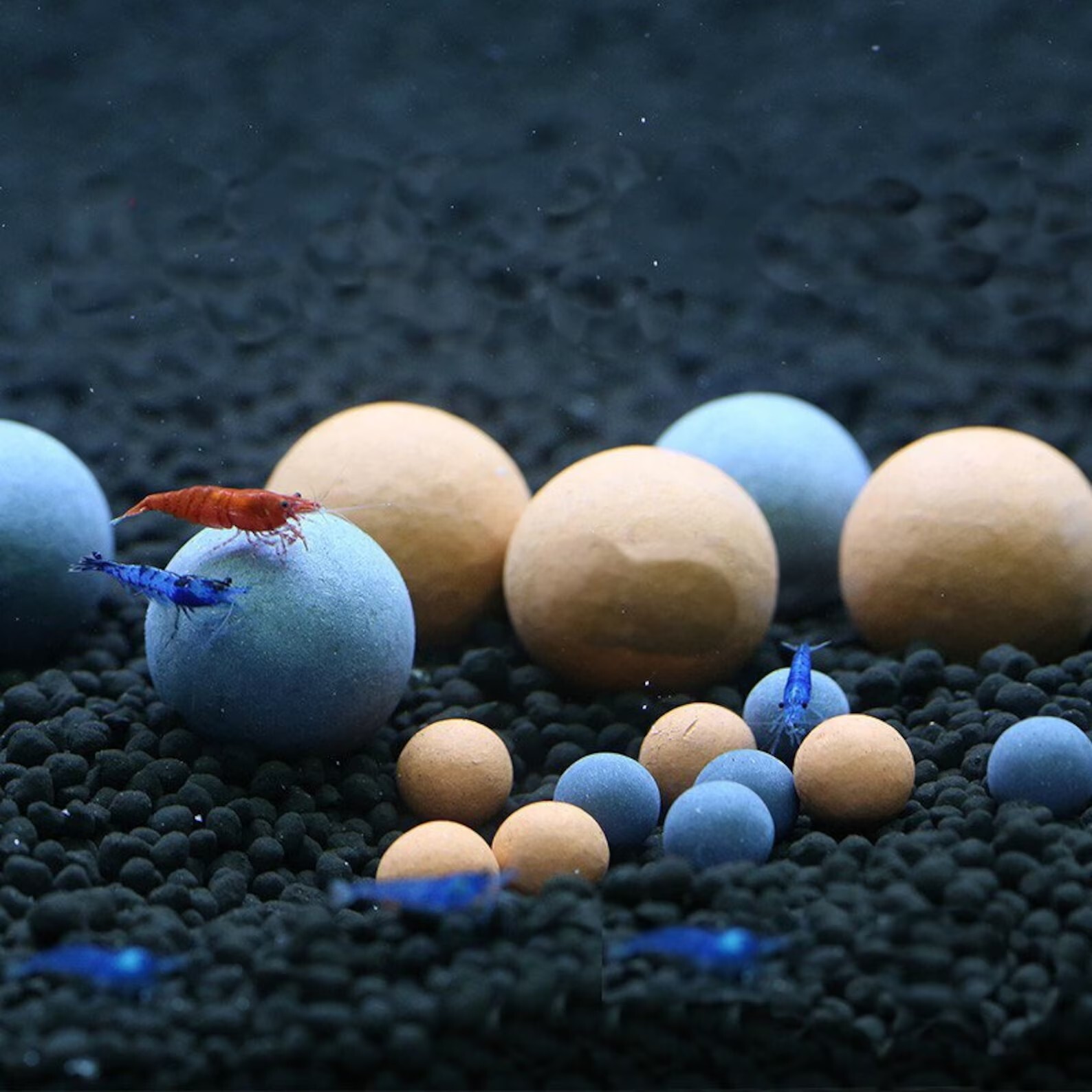 Indian Almond Leaves Alder Cones Mineral Balls Cholla Wood Package For Aquarium