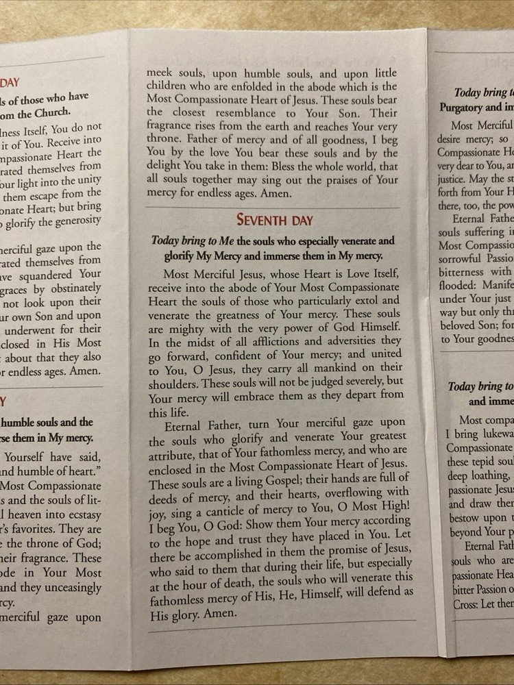 Divine Mercy Novena And Chaplet Rosary Companion Prayer Booklet Pamphlet