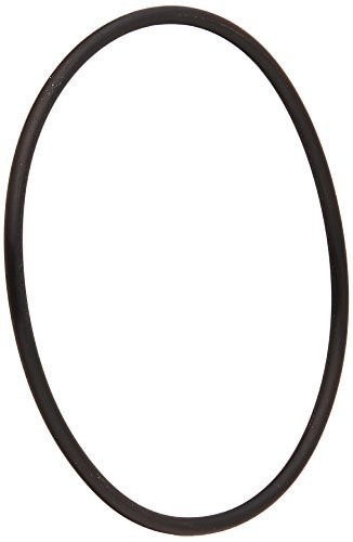 Pentair 192320 Replacement O-Ring for Pool and Spa Filter Systems