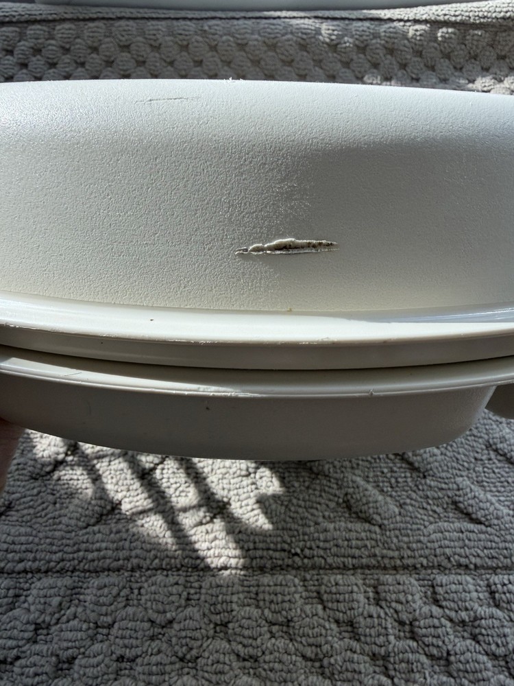 Tupperware Divided Dip Tray Serving Storage Set with lid Veggie Fruit