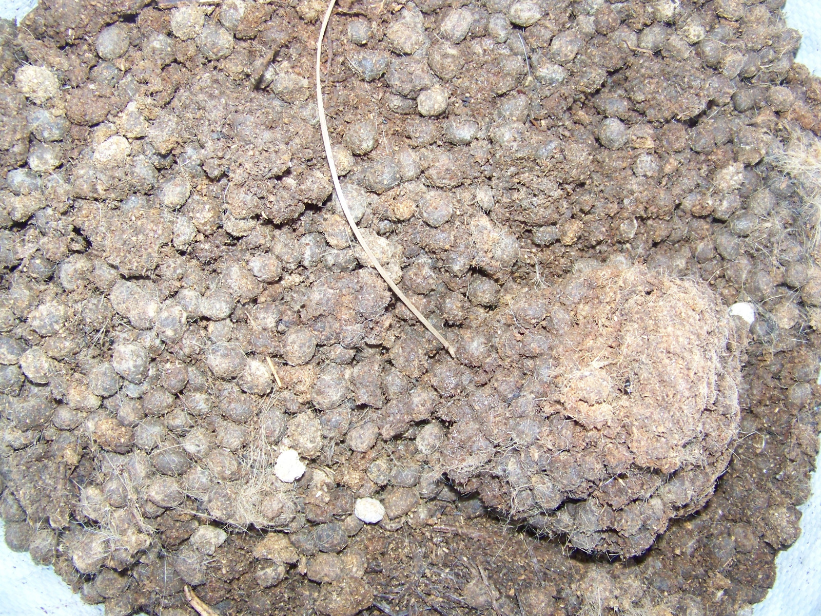 20 LBS Rabbit Manure Poop Organic Garden Plant Fertilizer