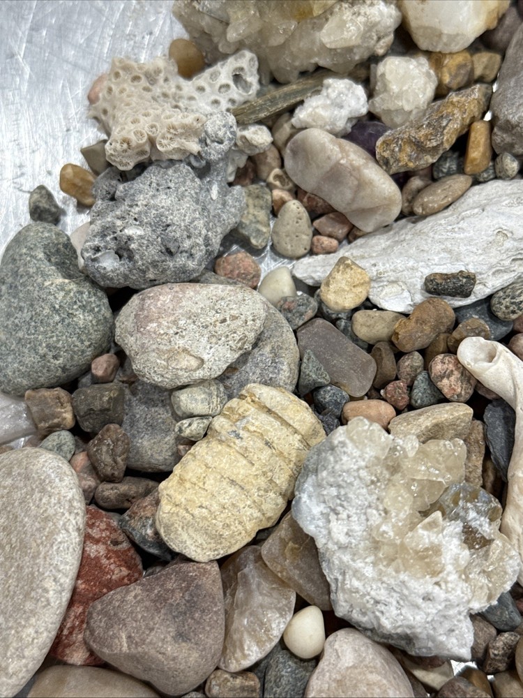 Collectable Rocks & Corral